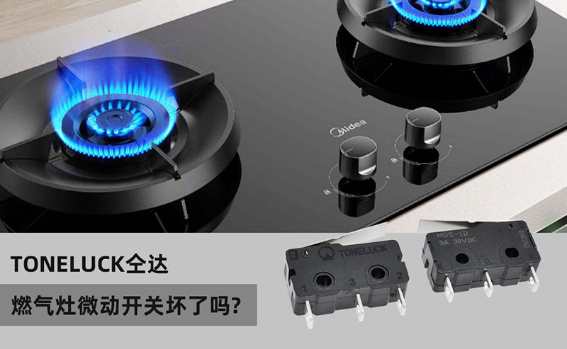 燃?xì)庠钗?dòng)開(kāi)關(guān).jpg